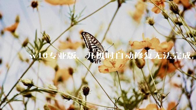 w10专业版，开机时自动修复无法完成，然后出现恢复页面，说多次无法启动操作系统，需要修复，怎么办？