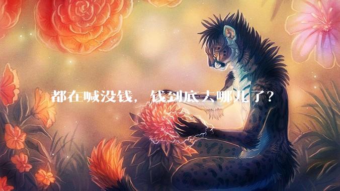 都在喊没钱，钱到底去哪儿了？