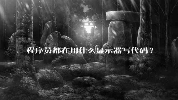 程序员都在用什么显示器写代码?