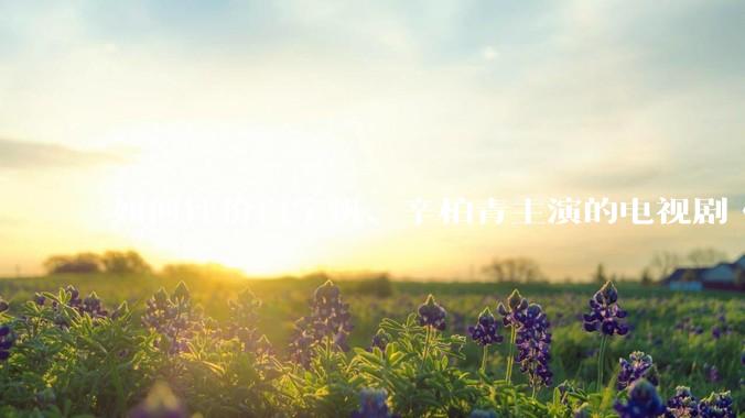 如何评价白宇帆、辛柏青主演的电视剧《护宝寻踪》？