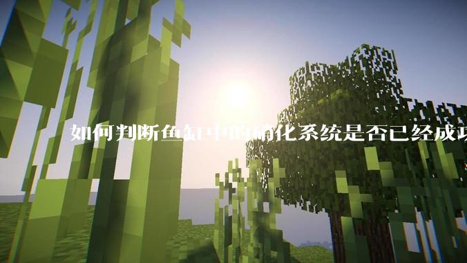 如何判断鱼缸中的硝化系统是否已经成功建立？